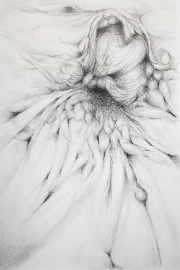 舒琮維 Jocelyn Shu, Orchid Series: Untitled, 2024