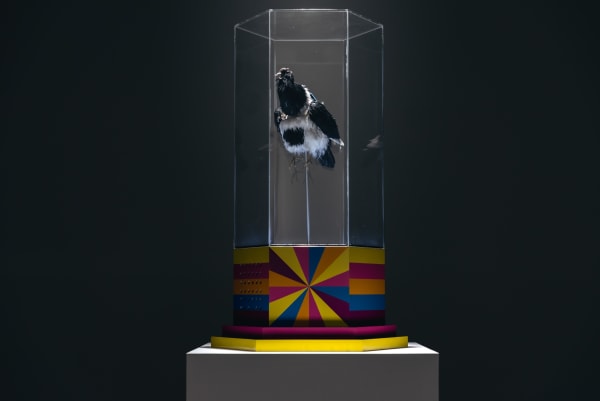 張碩尹 Chang TingTong, Pierre Jaquet-Droz Singing Bird Cage 1780, 2017