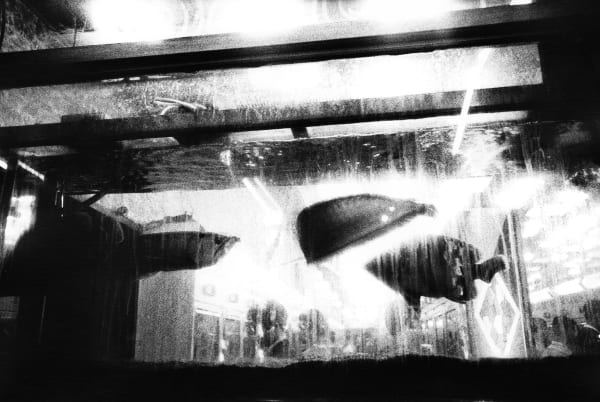 中平卓馬 Nakahira Takuma, 無題 Untitled, 1968 - 1970 / 2025