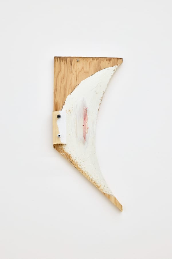理查德・塔特爾 Richard Tuttle, 四 4, 2024