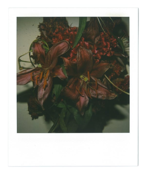 荒木經惟 Araki Nobuyoshi, Untitled, 2021
