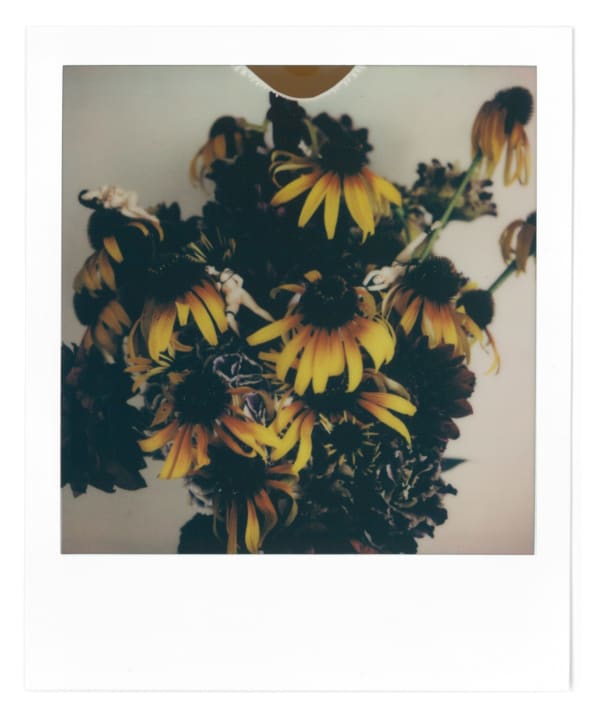 荒木經惟 Araki Nobuyoshi, Untitled, 2021
