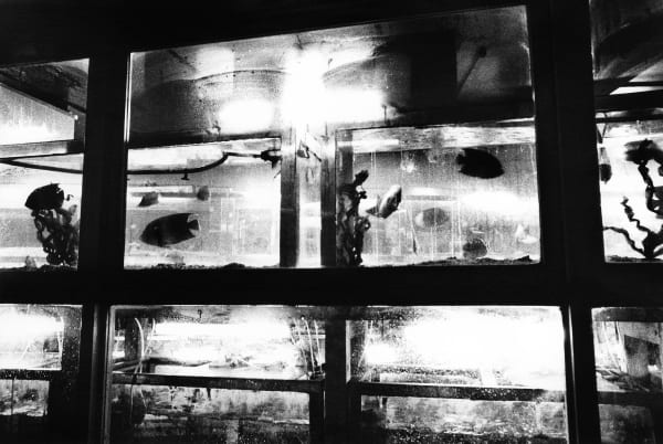 中平卓馬 Nakahira Takuma, 無題 Untitled, 1968 - 70 / 2025