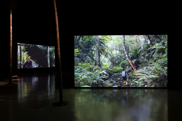 張碩尹 Chang TingTong, 檳榔屋、山蘇床與蝸牛陷阱 Betelnut Tree, Bird's-Nest Fern and African Snails, 2020