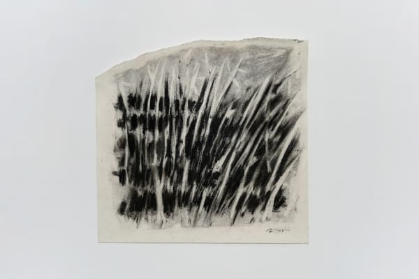 令詠 Ling Yung, 清明夢 Lucid Dream, 2023 - 2024