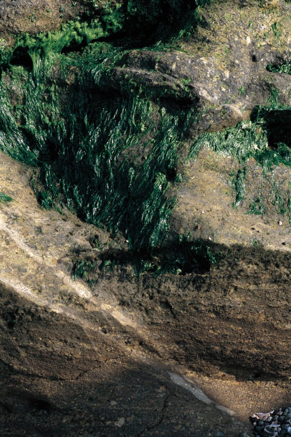 中平卓馬 Nakahira Takuma, Untitled, From the series, Kirikae, 2009/2021