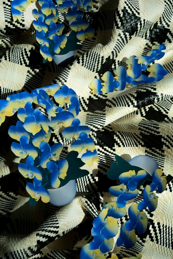 吳美琪 Wu MeiChi, 花園 Garden, 2023