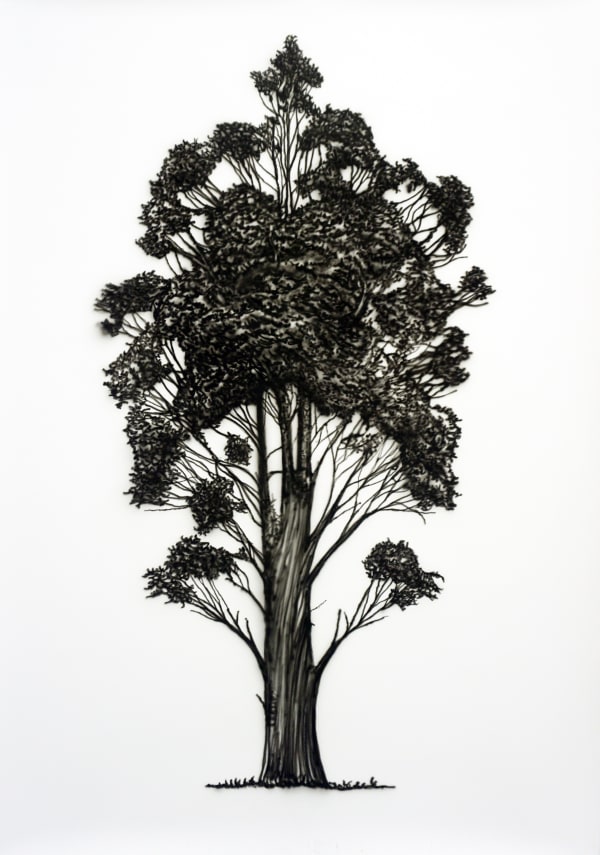 Eamon O'Kane, Baum Test I, 2017