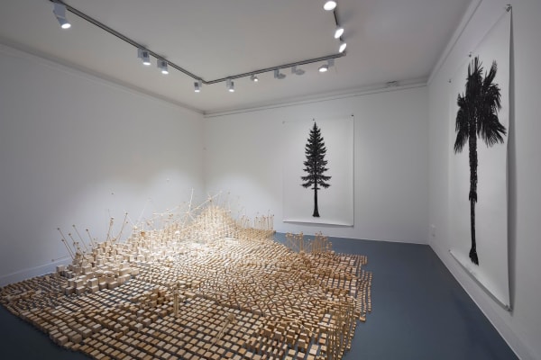 Eamon O'Kane, In All Things II, 2017-2024