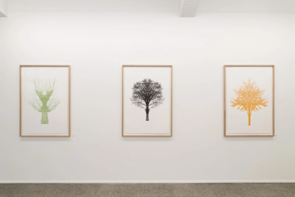 Eamon O'Kane, Colour Baum Test Series, 2022