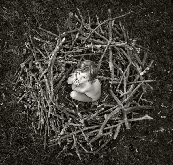 Alain Laboile Nid, 2013