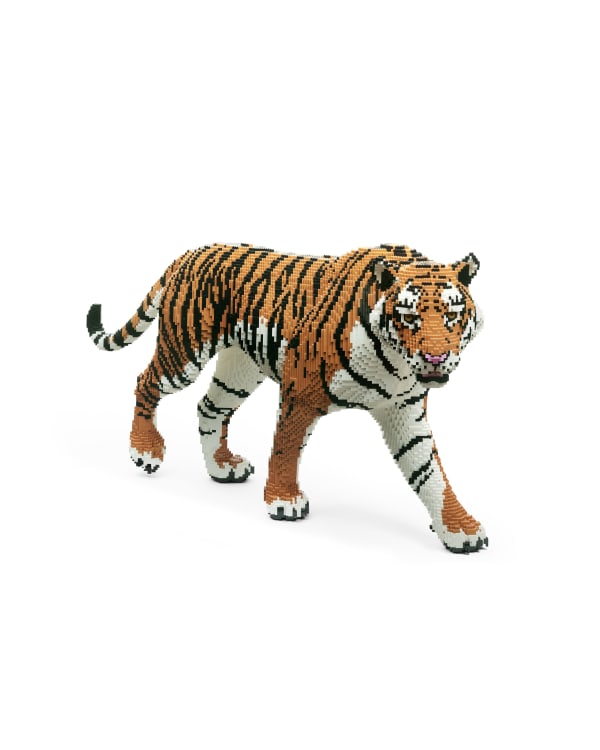 Dean West & Nathan Sawaya, Malayan Tiger, 2019
