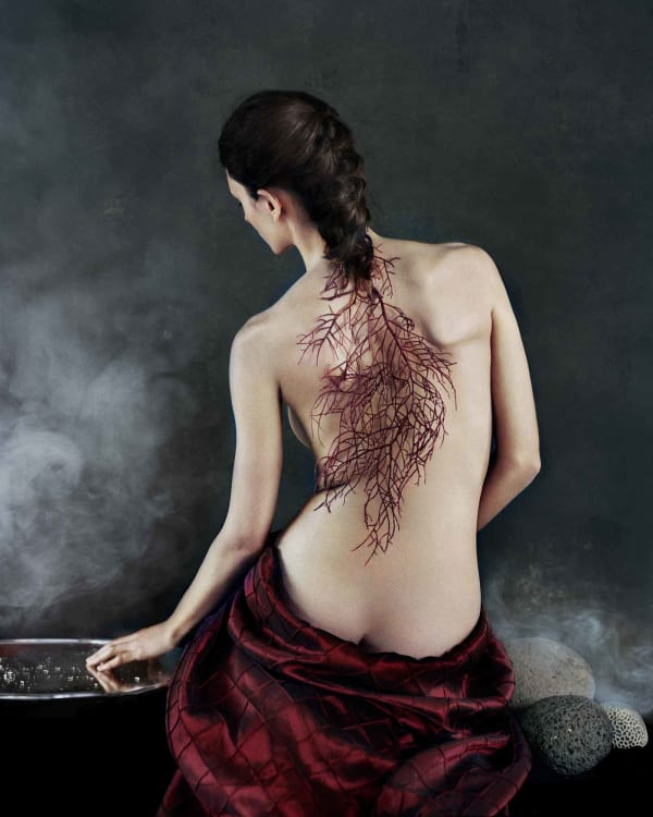Vee Speers Untitled #23, 2020