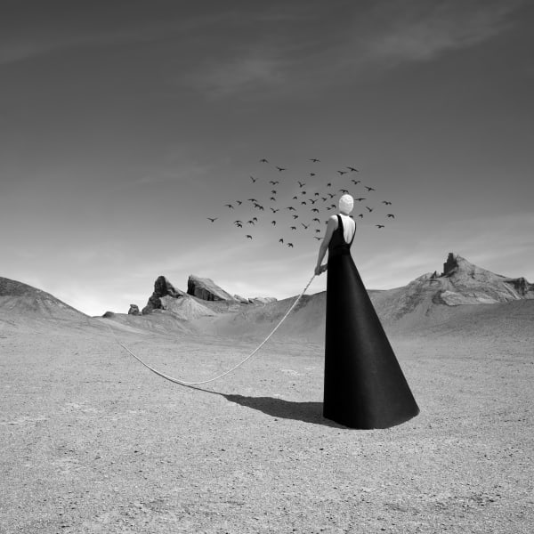 Astrid Verhoef, Human Nature 28, 2022