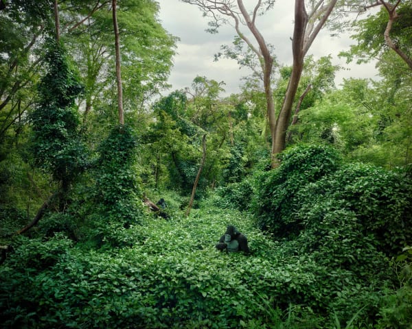 Dean West & Nathan Sawaya, Western Lowland Gorilla, 2019