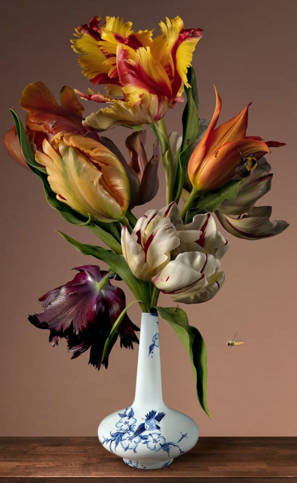 Bas Meeuws, Untitled #183, 2022