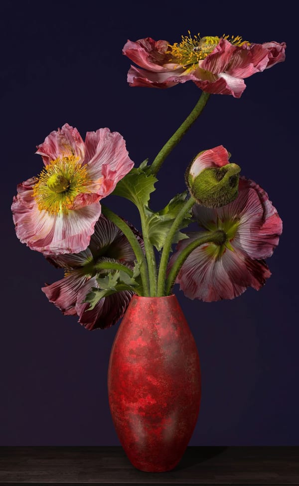 Bas Meeuws, Untitled #199, 2024