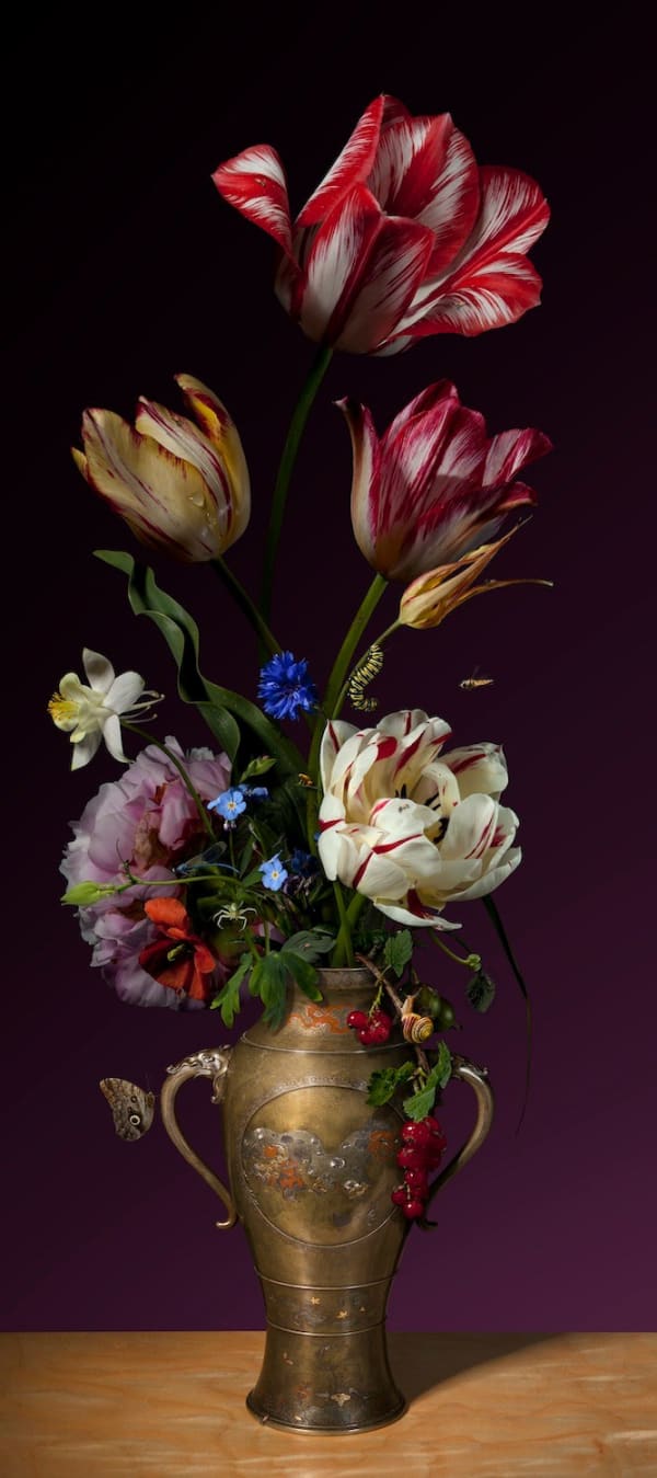 Bas Meeuws, Untitled #103, 2014