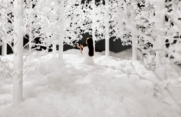 JeeYoung Lee, The Last Unflowering Tree, 2021