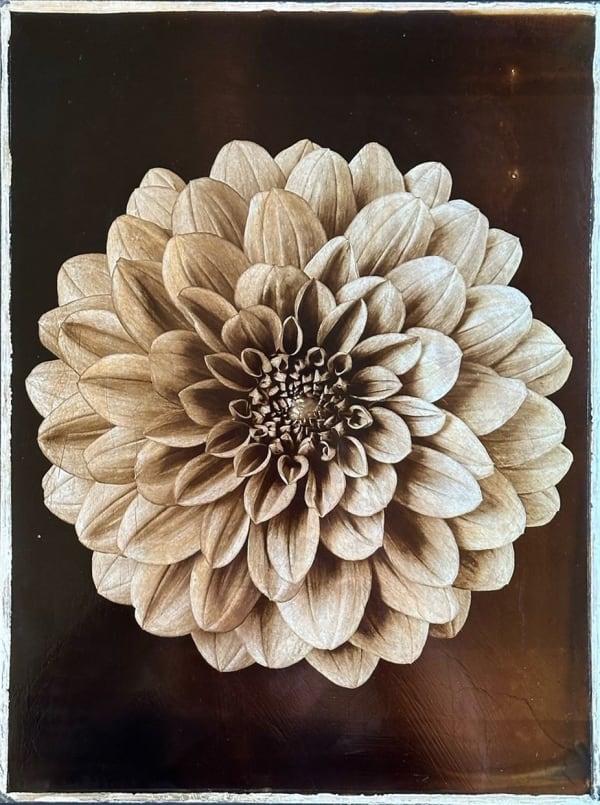 Jan C. Schlegel, Plate #5, 2025