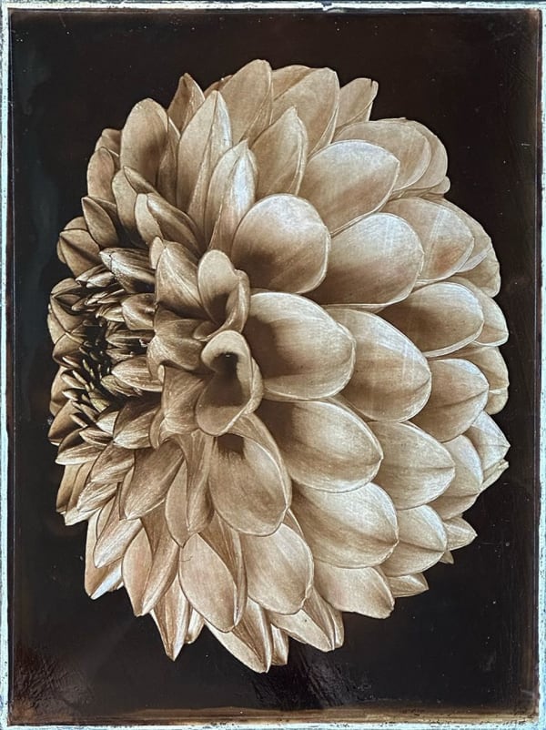Jan C. Schlegel, Plate #7, 2025