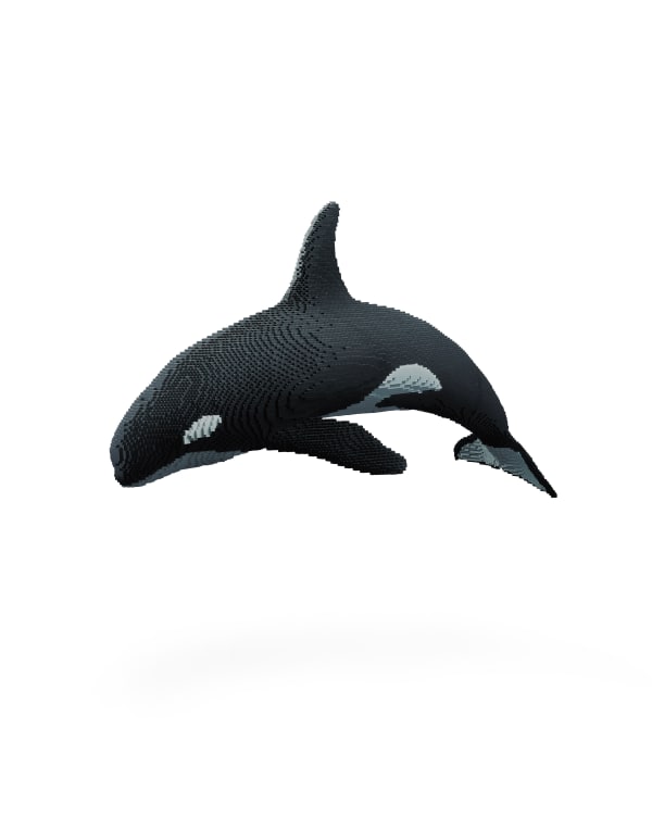 Dean West & Nathan Sawaya, Orca, 2019