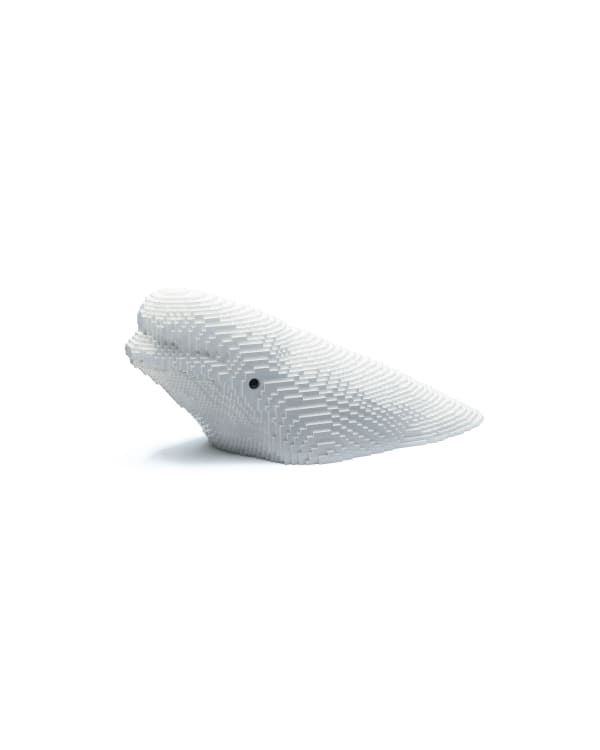 Dean West & Nathan Sawaya, Beluga, 2019