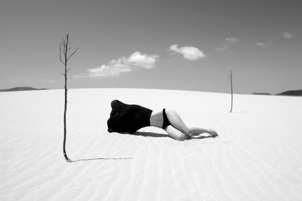Inscapes