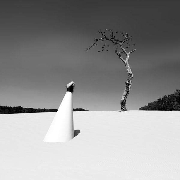 Astrid Verhoef, Human Nature 16 , 2021