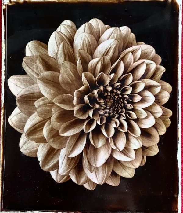 Jan C. Schlegel, Plate #4, 2025