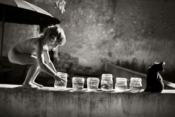 Alain Laboile Les Bocaux, 2012
