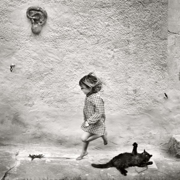 Alain Laboile, L'oreille, 2013