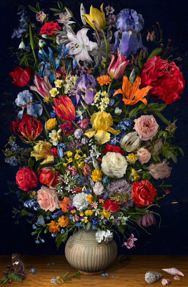 Still Life