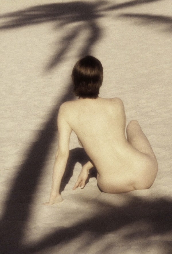 Robert Farber, Under the Palm, Miami, Florida, 1994