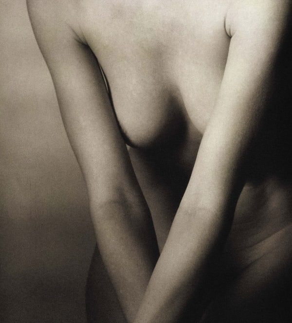 Robert Farber, Natural Beauty Cover, 1994