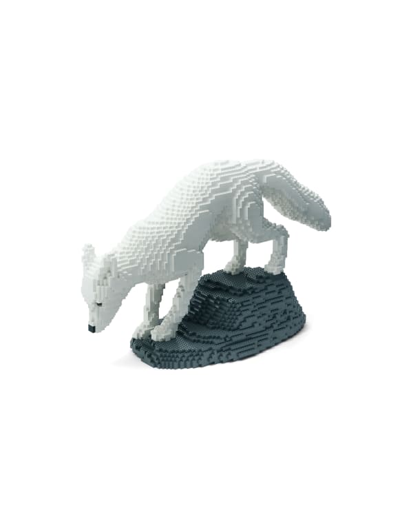 Dean West & Nathan Sawaya, Arctic Fox, 2019