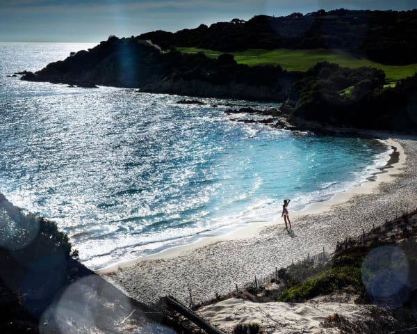 David Drebin, Alone in Paradise, 2021