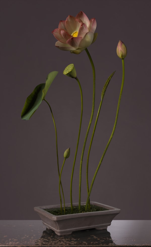 Bas Meeuws, Hommage à Sanyu (#12), 2018