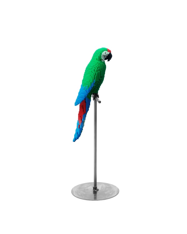 Dean West & Nathan Sawaya, Military Macaw, 2019