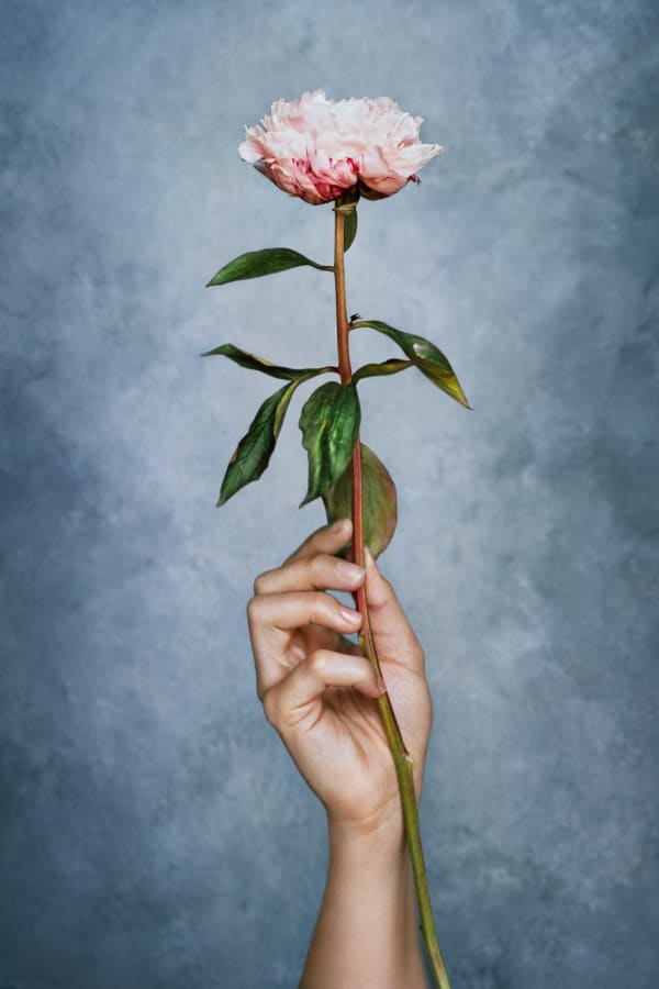 Vee Speers, Flower, 2023