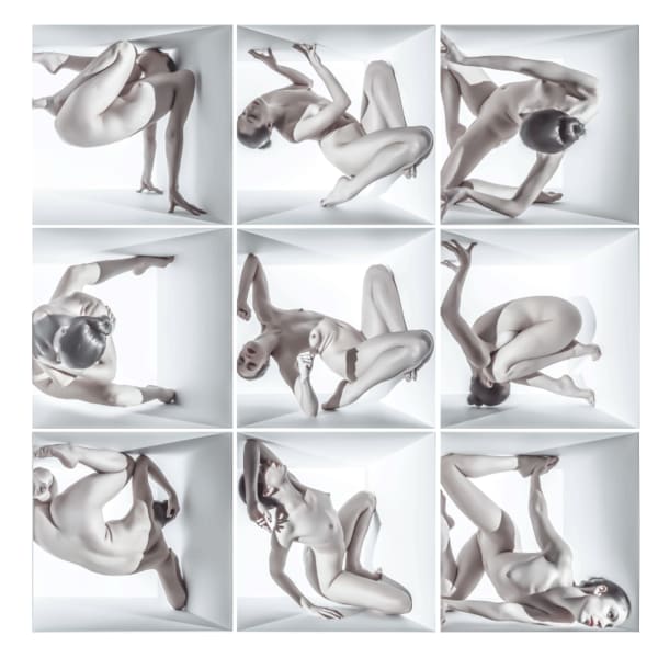 Jeff Robb, Unnatural Causes #27, 2013