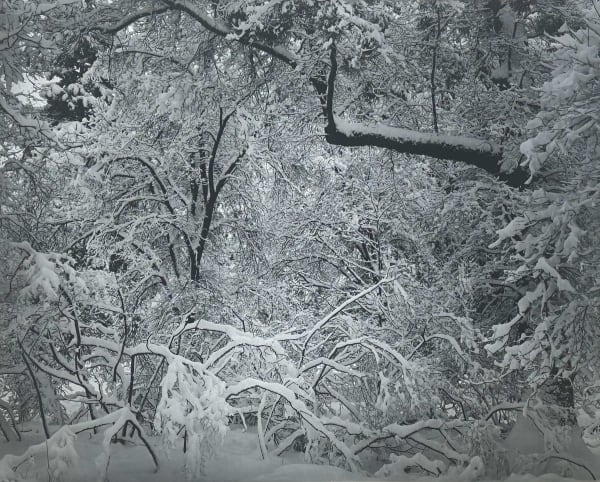 Ansel Easton Adams, Fresh Snow, Yosemite Valley, California, C. 1947