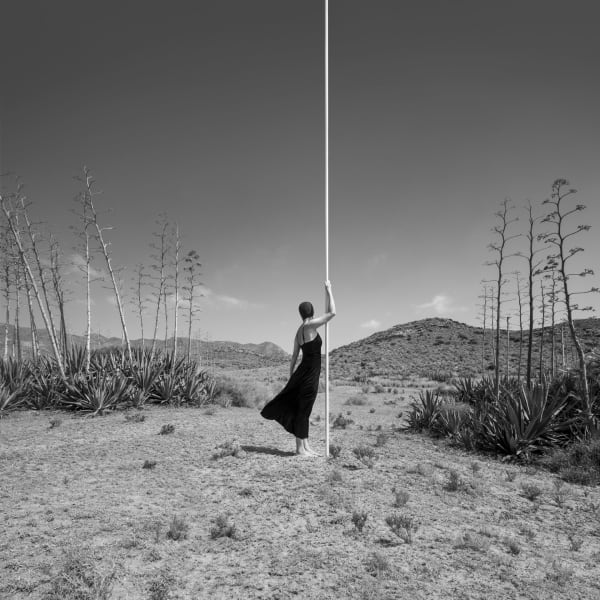 Astrid Verhoef, Agave, 2020