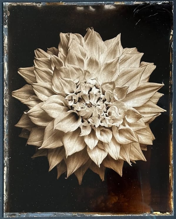 Jan C. Schlegel, Plate #2, 2025