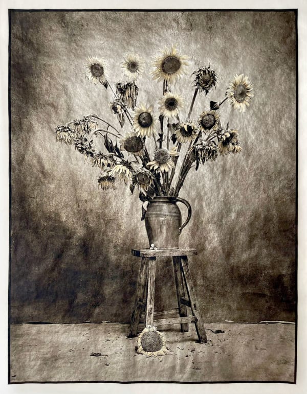 Jan C. Schlegel, Sunflowers, 2022