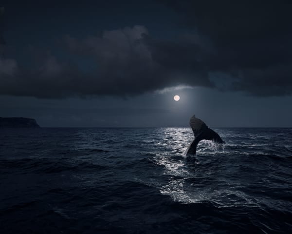 Dean West & Nathan Sawaya, Humpback , 2019