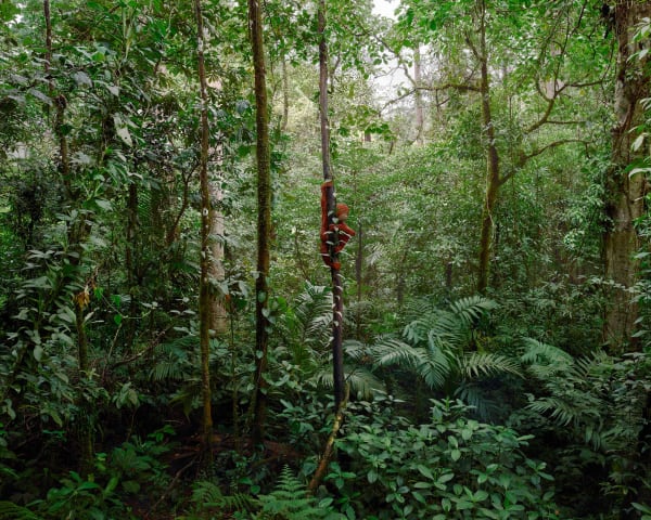 Dean West & Nathan Sawaya, Sumatran Orangutan, 2019