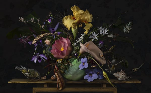 Bas Meeuws, Untitled #153, 2019