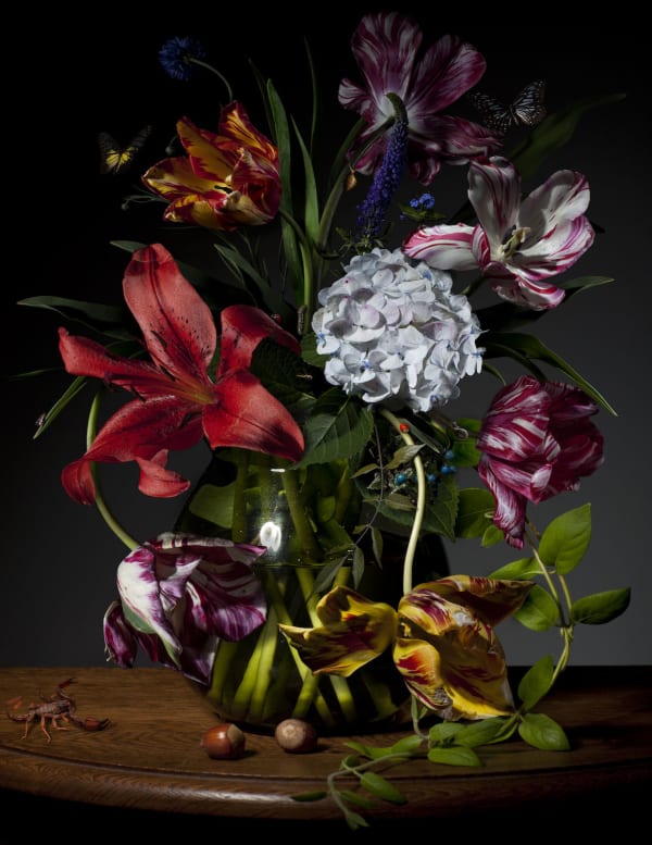 Bas Meeuws, Untitled (#50), 2011