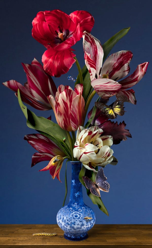 Bas Meeuws, Untitled #182, 2022